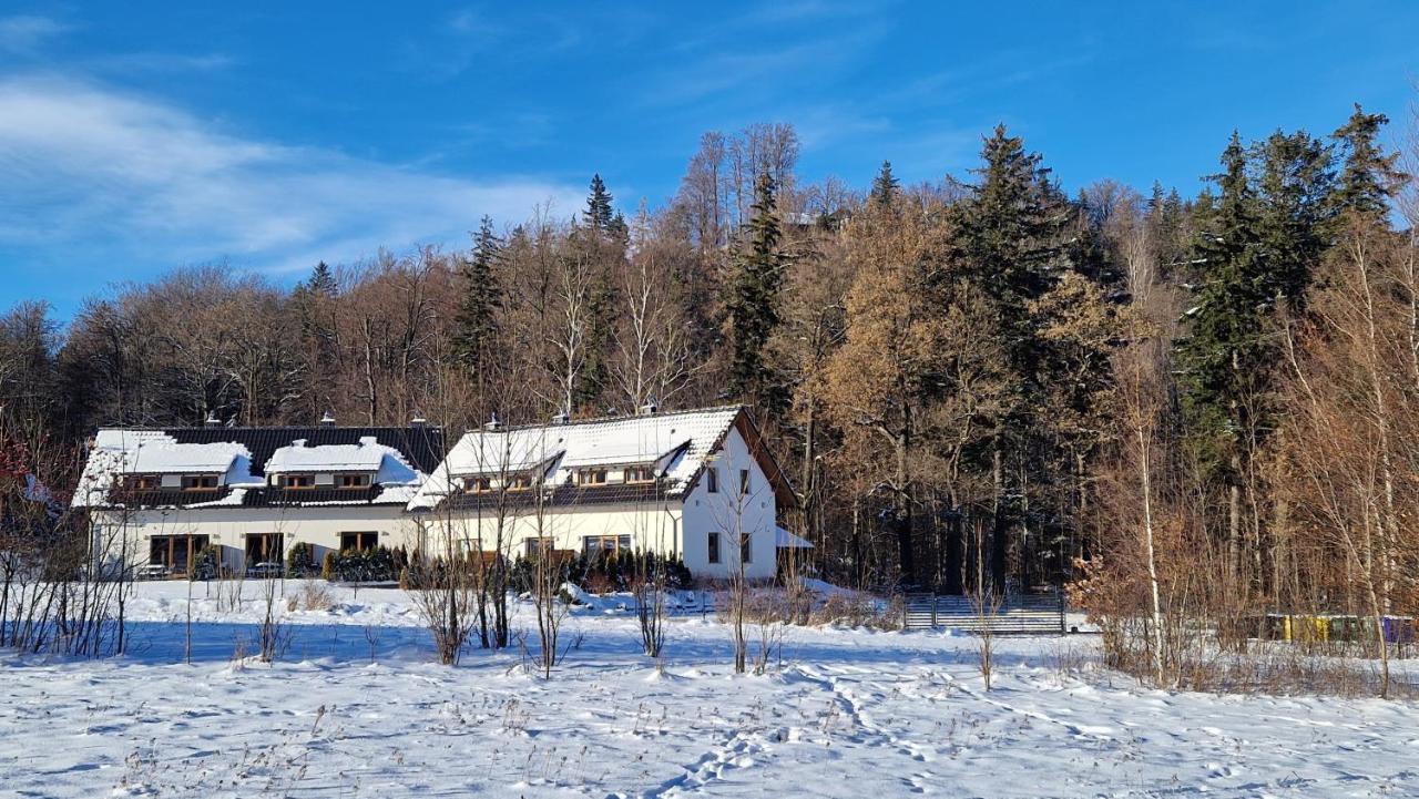 Widokowo - Domki Z Widokiem Na Sniezke Z Jacuzzi I Sauna Karpacz Eksteriør bilde