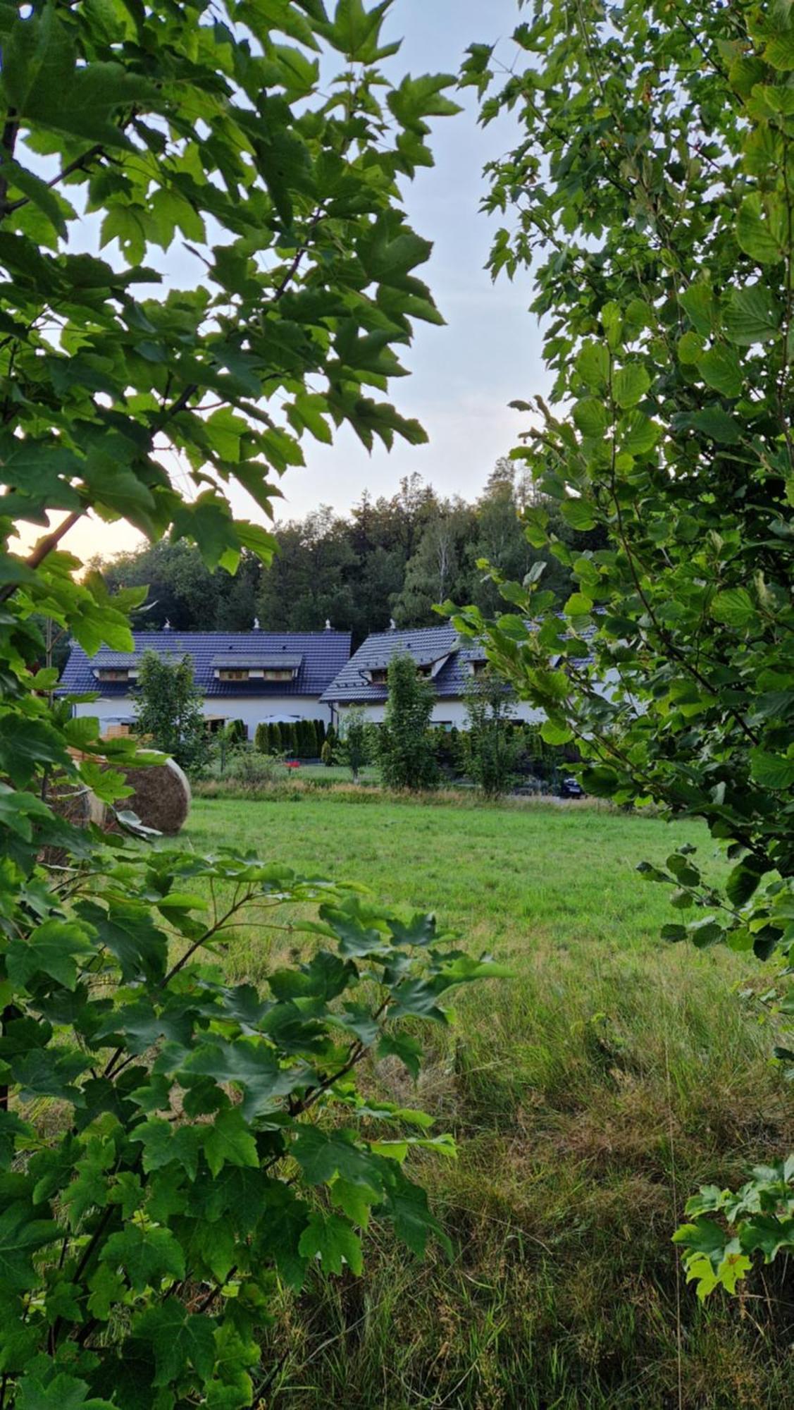 Widokowo - Domki Z Widokiem Na Sniezke Z Jacuzzi I Sauna Karpacz Eksteriør bilde